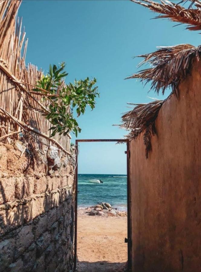 Luna House Asala Beach 达哈布 外观 照片